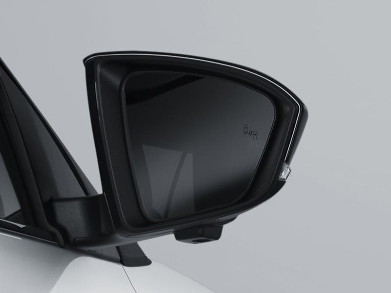 Auto Folding & Electric Retractable Outer Mirror (All Type) with Welcoming Lamp (All S Type)