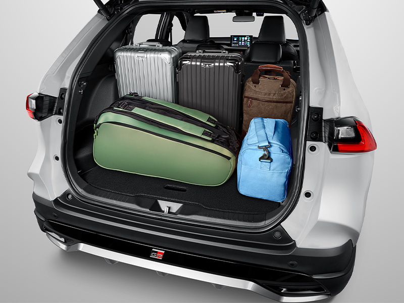 Cozy Spacious Luggage (All Type)