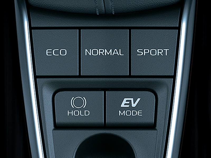 Adjustable Advanced Driving Mode