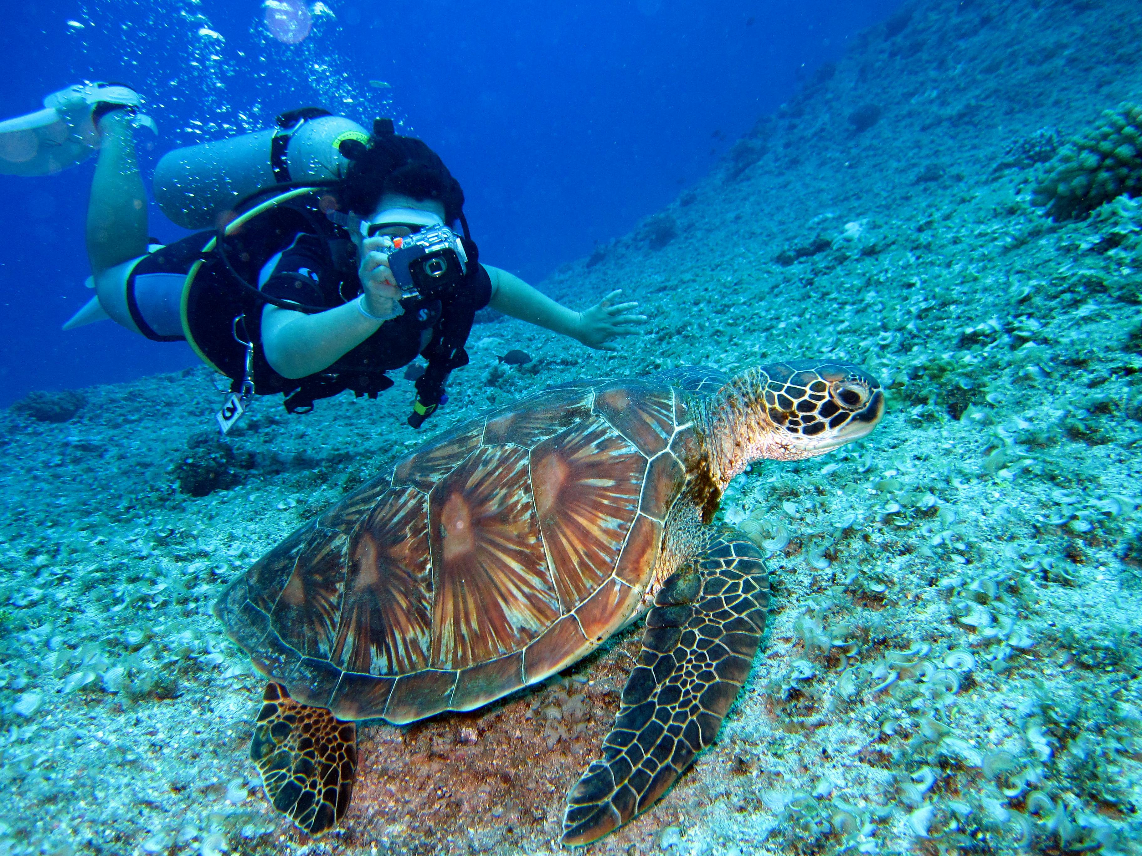 5 Rekomendasi Tempat Snorkeling Terbaik untuk Pengalaman Bawah Laut yang Tak Terlupakan