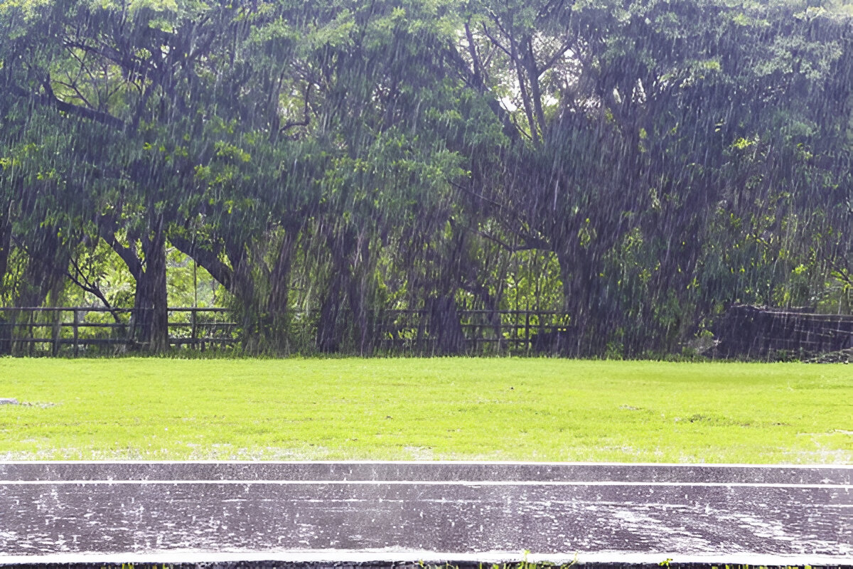 Waspada di Jalan Raya dengan Tips Menghindari Kecelakaan Saat Hujan